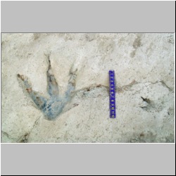 100_0345 (2009-25-07)m.JPG